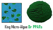 DrPPARs Micro Vegetation