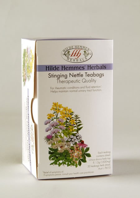 Stinging Nettle