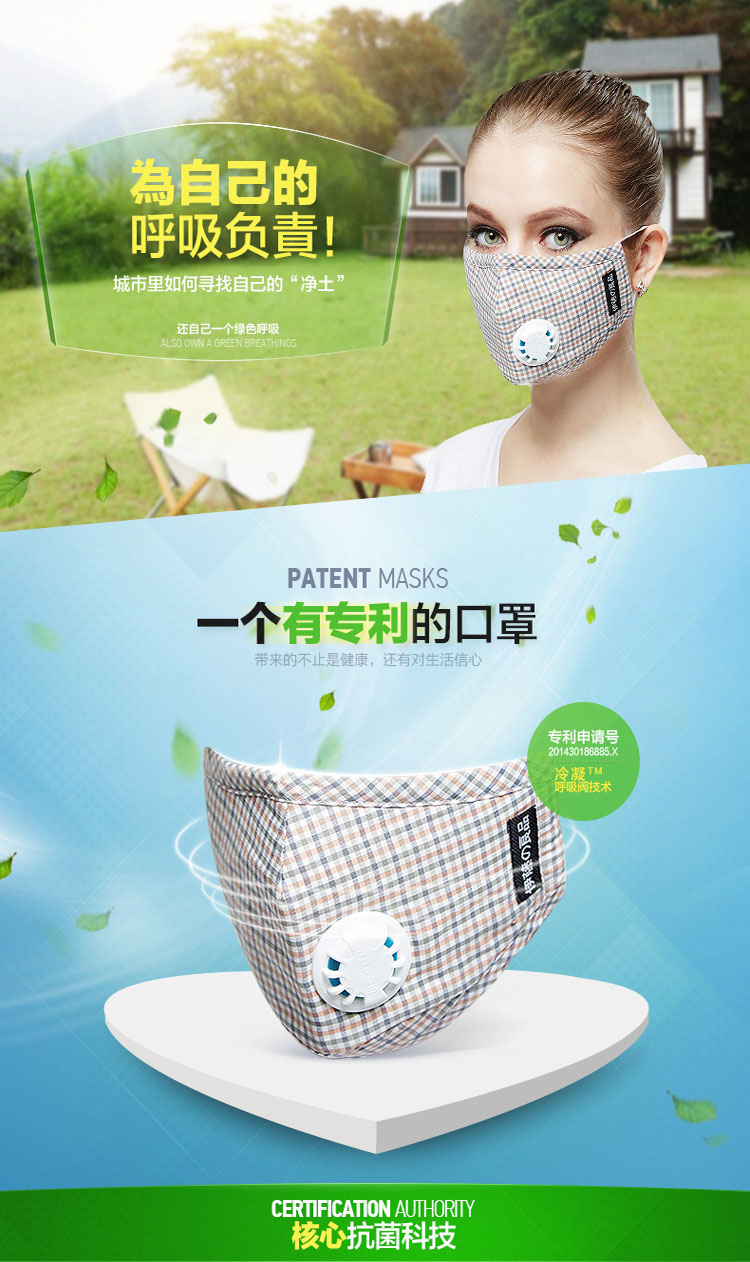 PM2.5 Mask