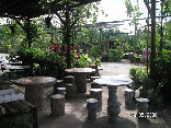 organic_tour001006.jpg