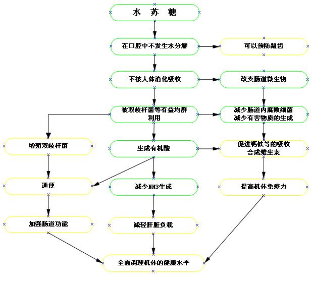 水苏糖代谢