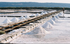 Sea Salt