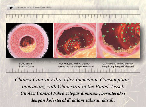 Blood Vessel's Cholesterol Clean Up