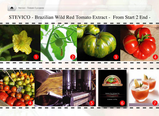 stevico tomato lycopene