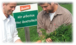 demeter carrots