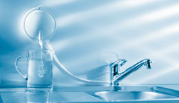 Swiss Water Filter Filopur